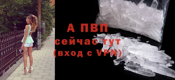 ECSTASY Беломорск