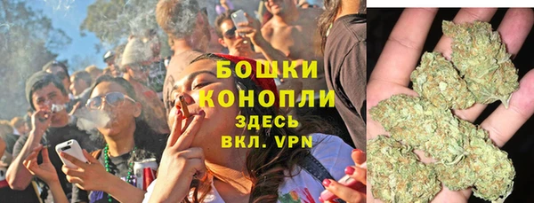 соль ск Белокуриха