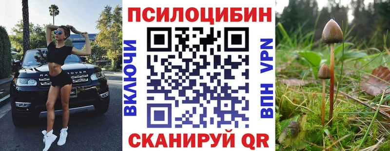 гидра рабочий сайт  закладка  Сердобск  Псилоцибиновые грибы прущие грибы 